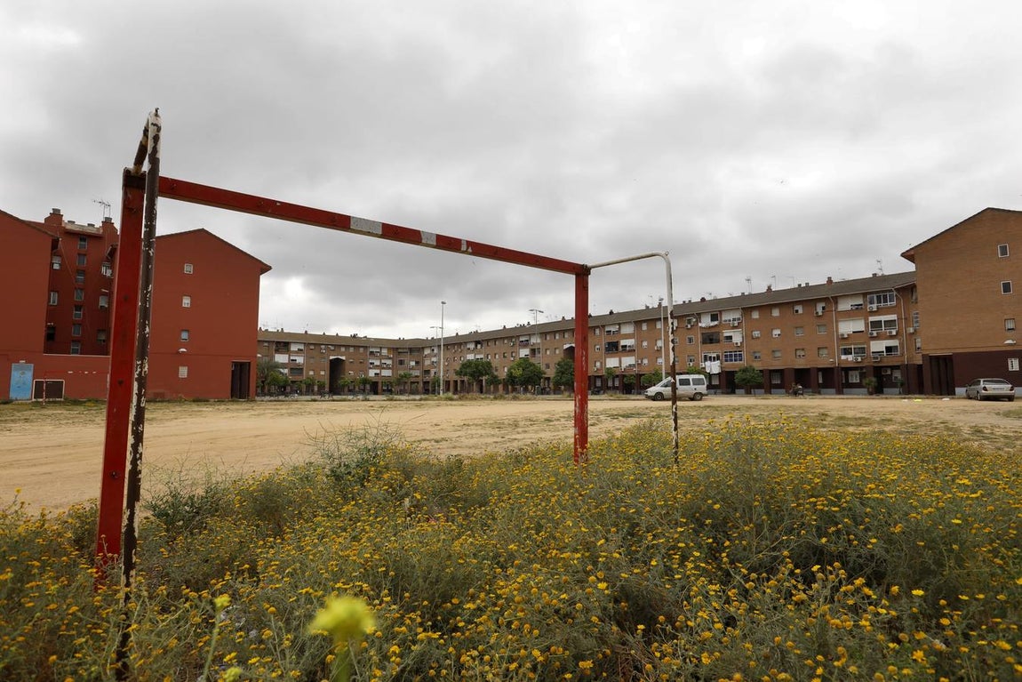 Un paseo por el barrio de las Palmeras de Córdoba, en imágenes