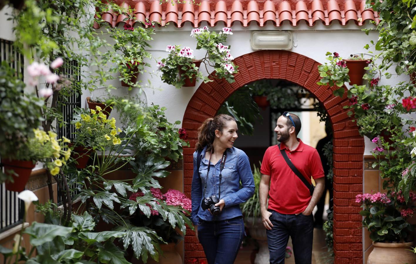 La belleza de los Patios de Córdoba en San Pedro, en imágenes
