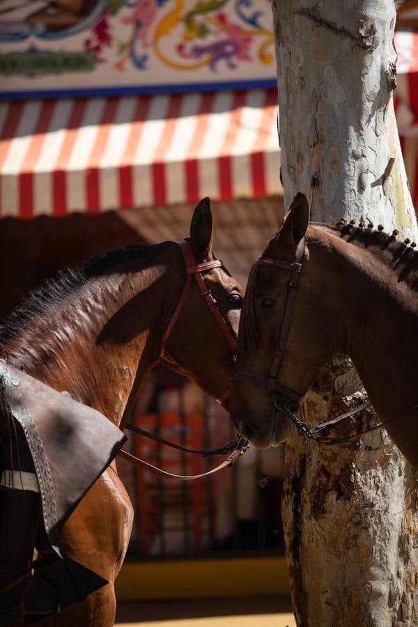 La Feria de Sevilla 2019, ambientada hasta el final