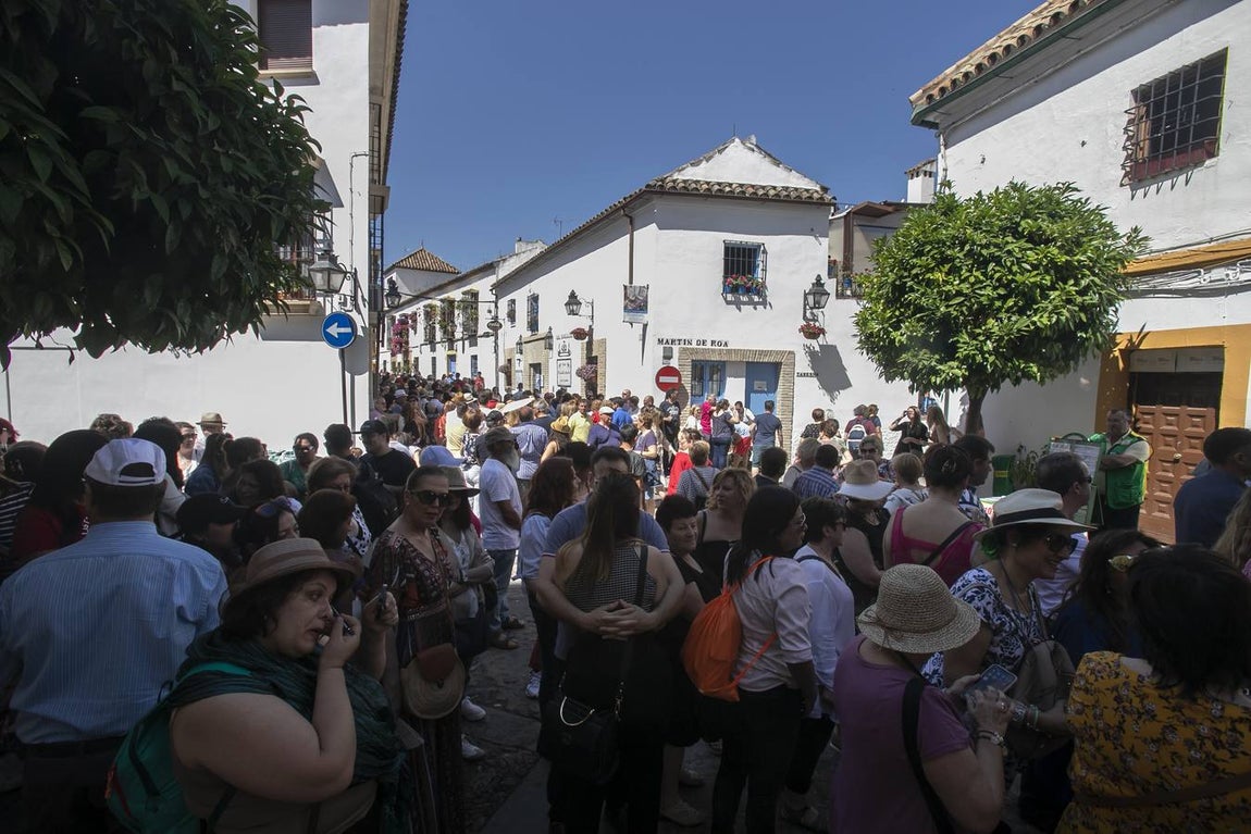 Bullas y belleza de los Patios de Córdoba, en imágenes
