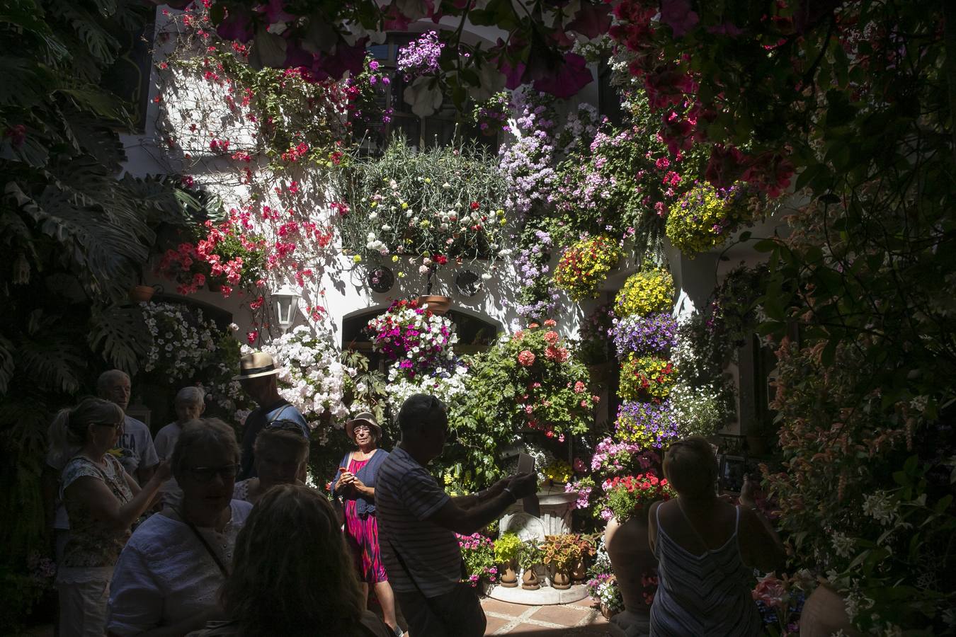 La autenticidad de los Patios de Córdoba en Santa Marina y San Agustín, en imágenes