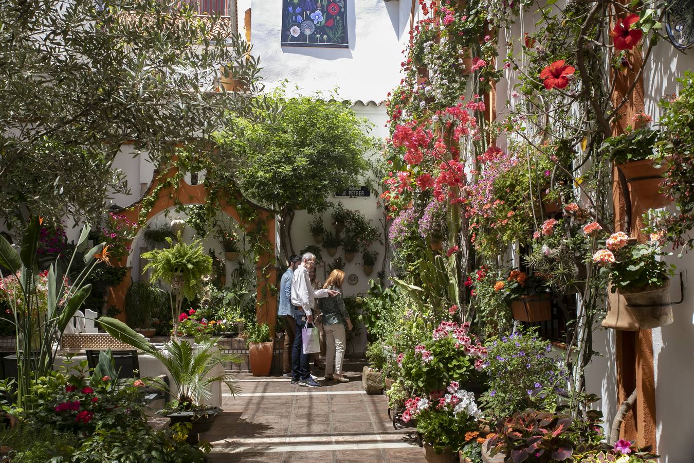 La autenticidad de los Patios de Córdoba en Santa Marina y San Agustín, en imágenes