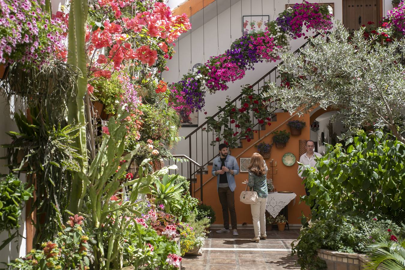 La autenticidad de los Patios de Córdoba en Santa Marina y San Agustín, en imágenes