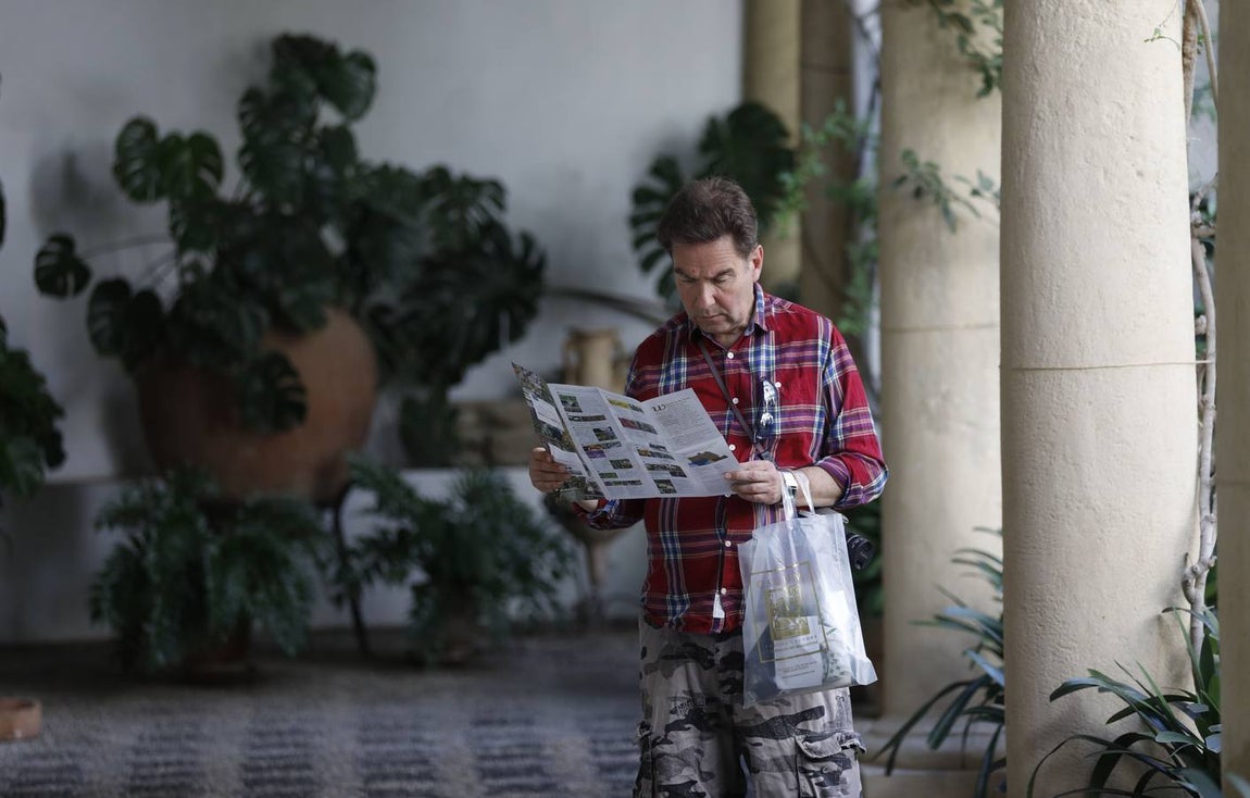 El asombro de los patios del Palacio de Viana de Córdoba, en imágenes