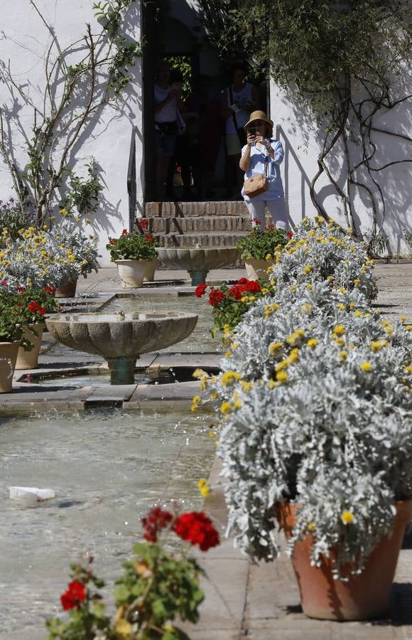 El asombro de los patios del Palacio de Viana de Córdoba, en imágenes