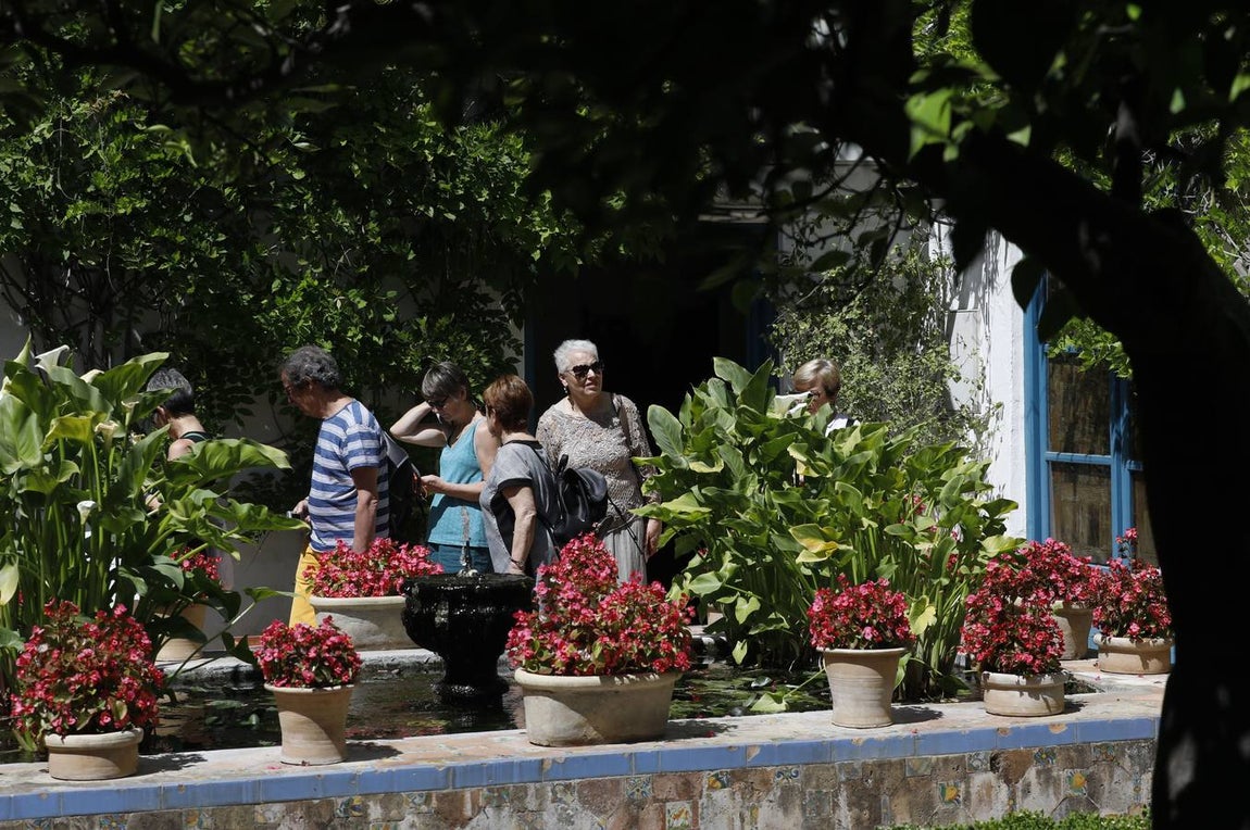 El asombro de los patios del Palacio de Viana de Córdoba, en imágenes
