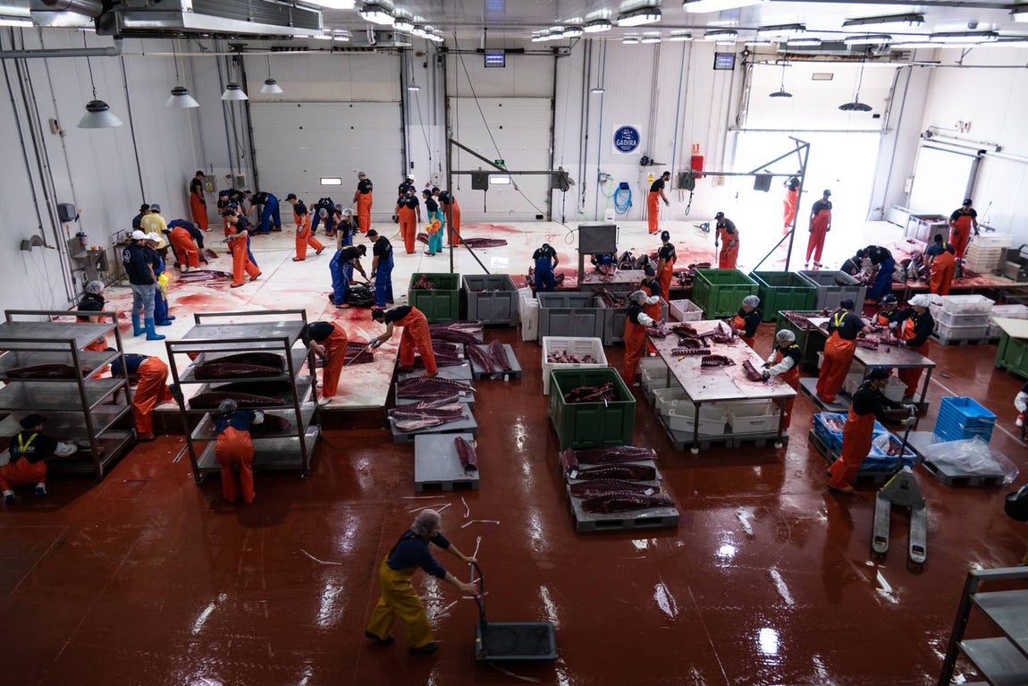 Fotogalería: Los últimos artesanos de las almadrabas