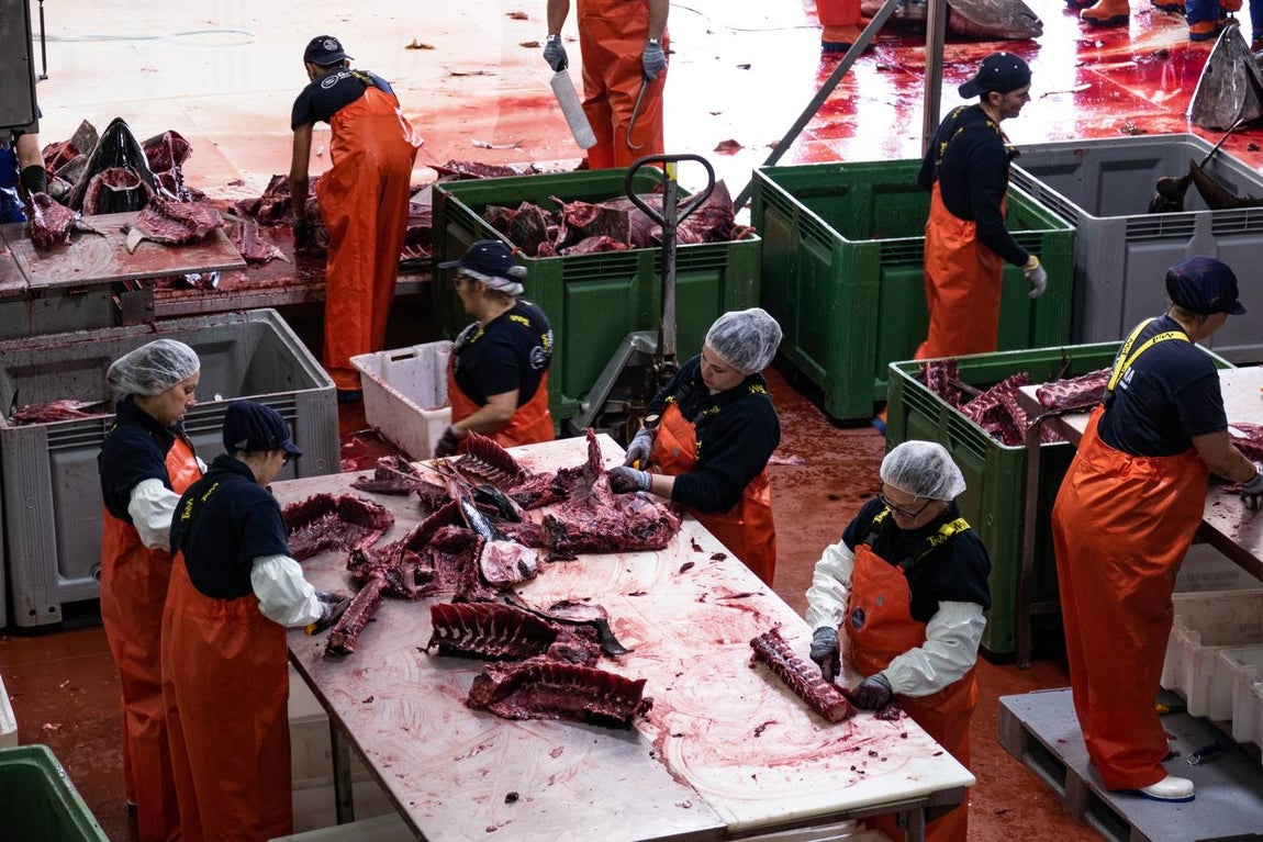 Fotogalería: Los últimos artesanos de las almadrabas