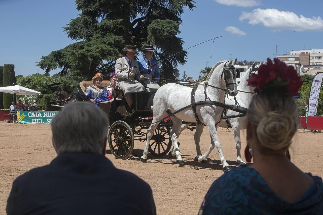 La VII Exhibición de Carruajes de Tradición de Córdoba, en imágenes