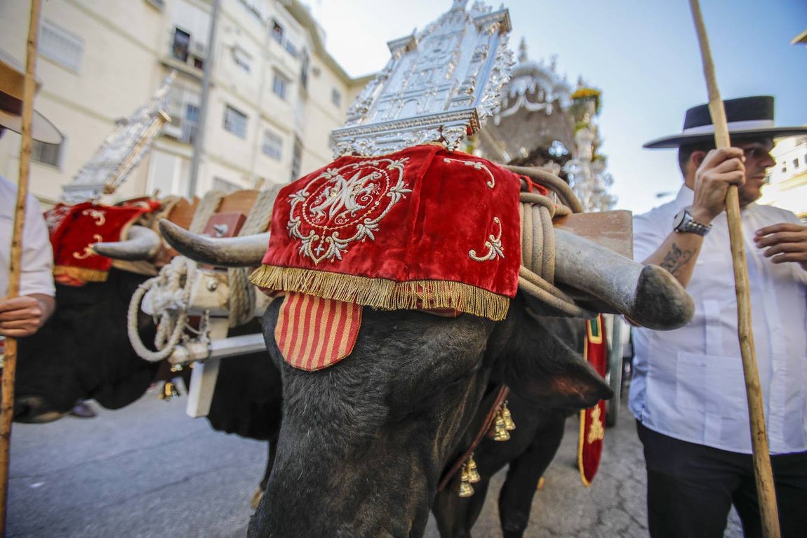 En imágenes, la salida de la hermandad del Rocío de Sevilla Sur