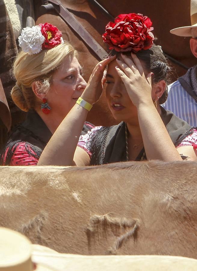 En imágenes, las hermandades de Sevilla, Triana y Sevilla Sur por el Quema (y II)