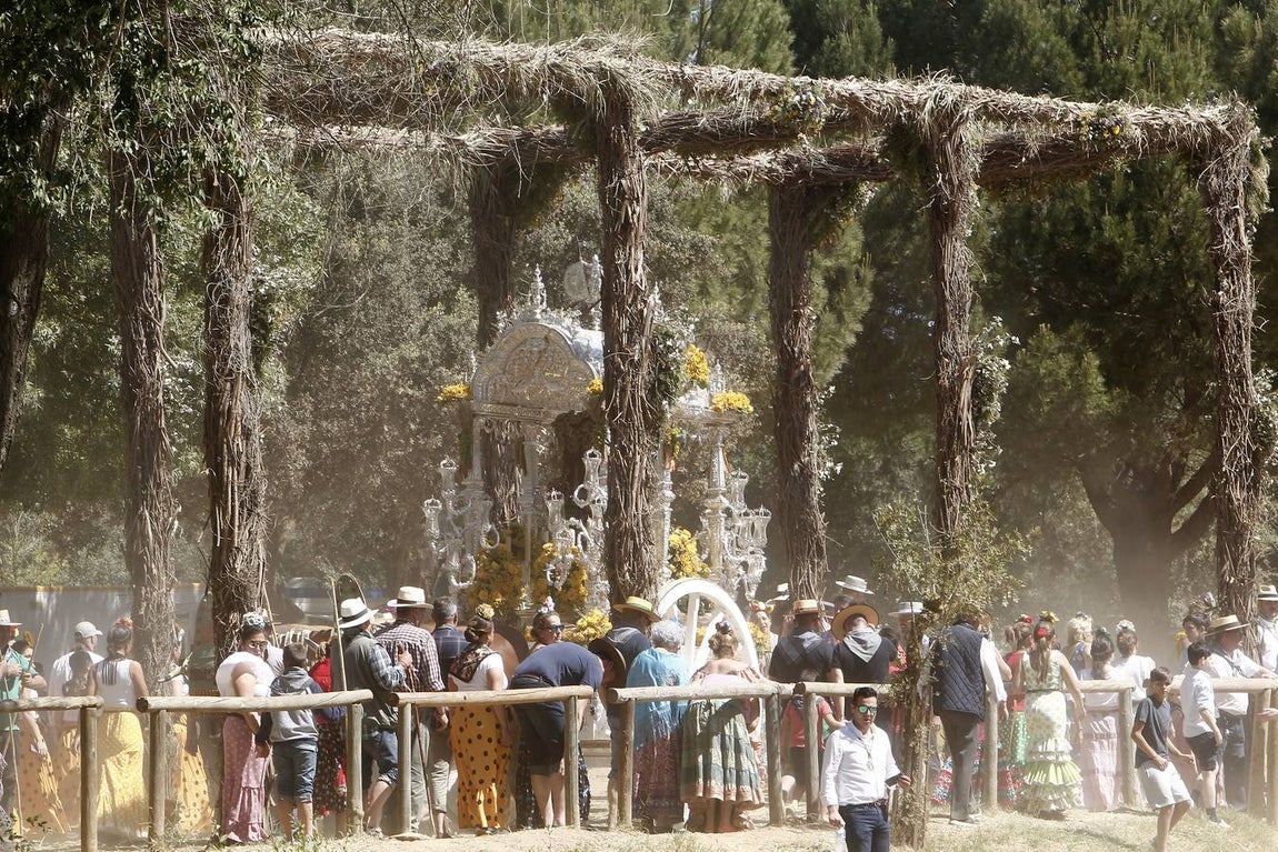 En imágenes, las hermandades de Sevilla, Triana y Sevilla Sur por el Quema (y II)