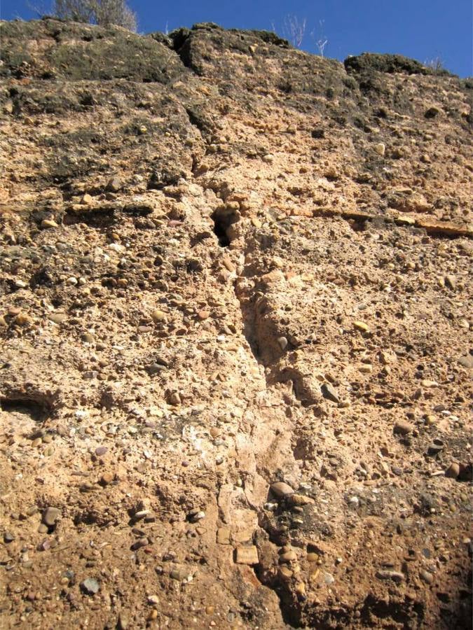 En imágenes, el proyecto de restauración de la muralla de la Macarena y su situación actual