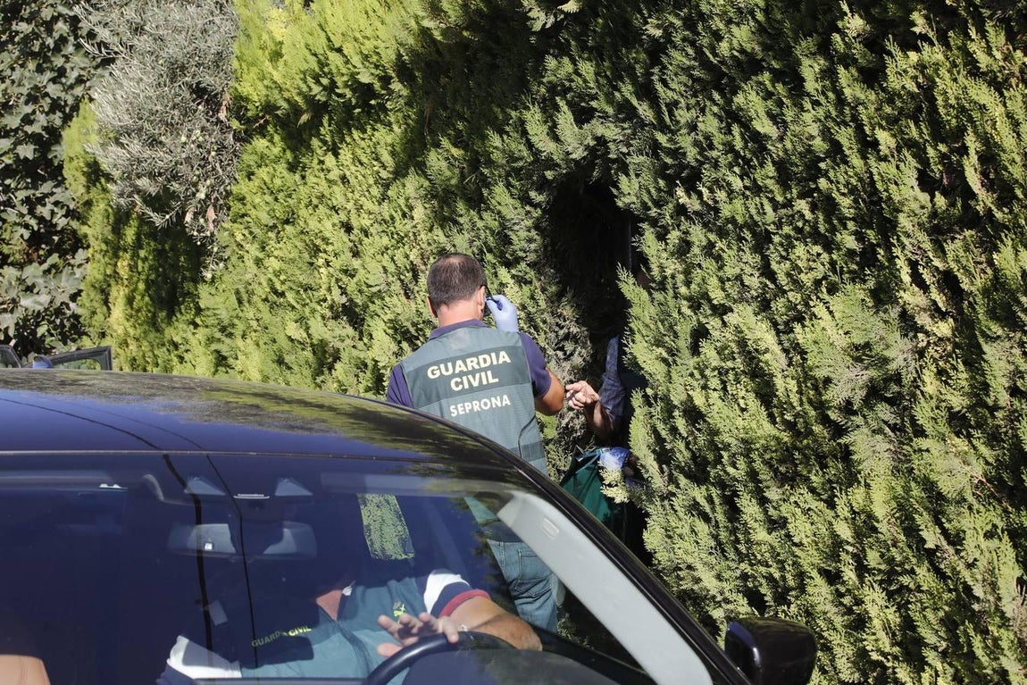 La detención de los responsables de Magrudis, en imágenes