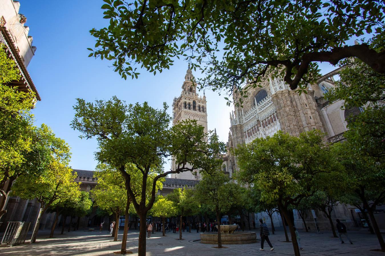 La restauración de la Giralda saca a la luz «mucho color» en los elementos decorativos