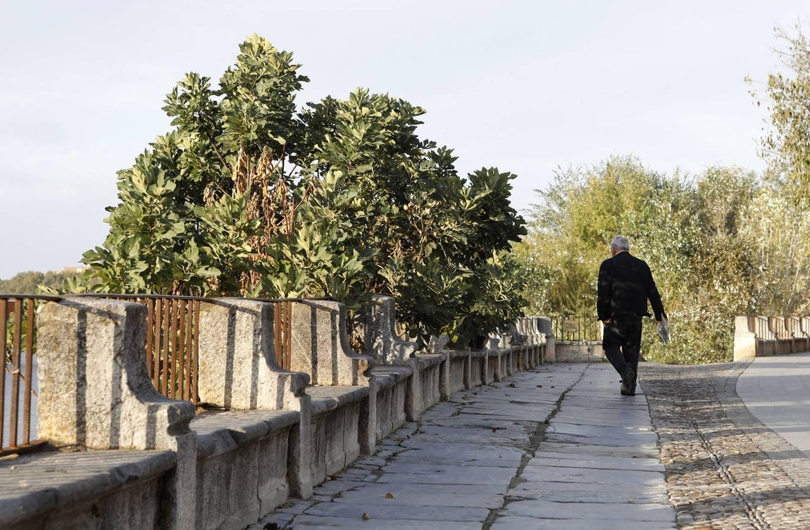 El lamentable estado del río en Córdoba, en imágenes