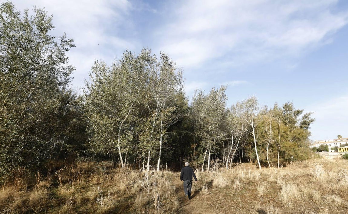 El lamentable estado del río en Córdoba, en imágenes