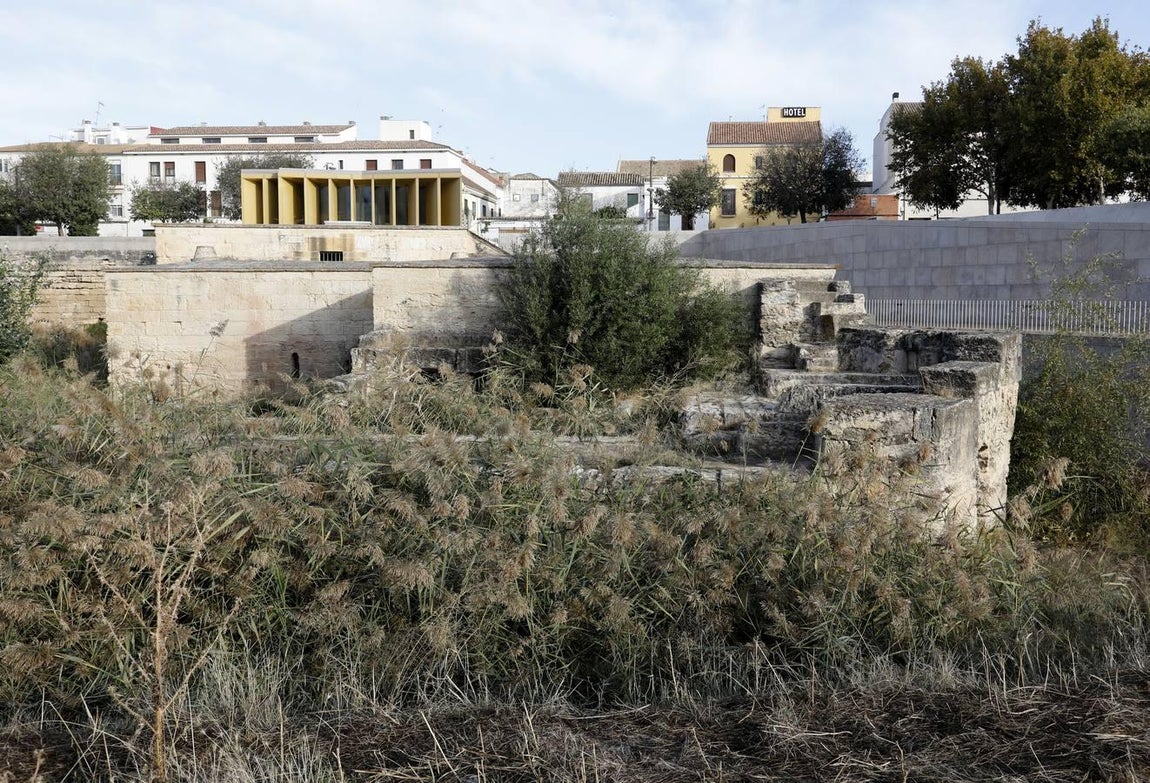 El lamentable estado del río en Córdoba, en imágenes