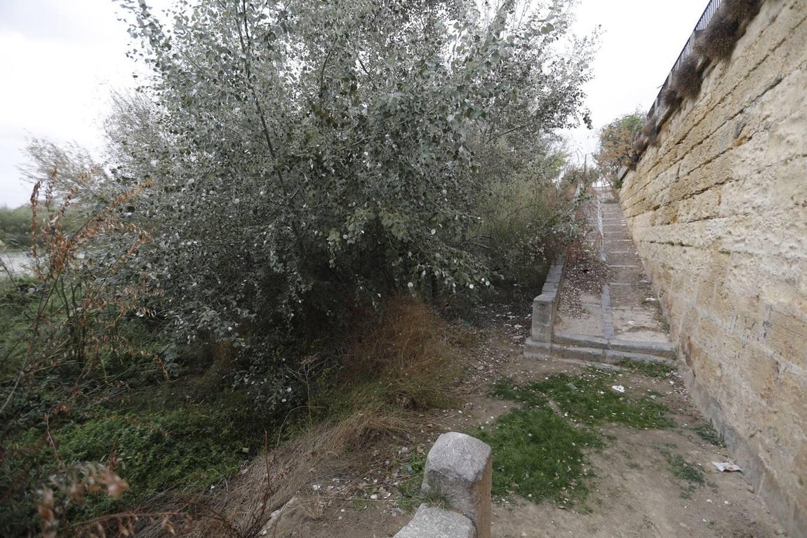 El lamentable estado del río en Córdoba, en imágenes