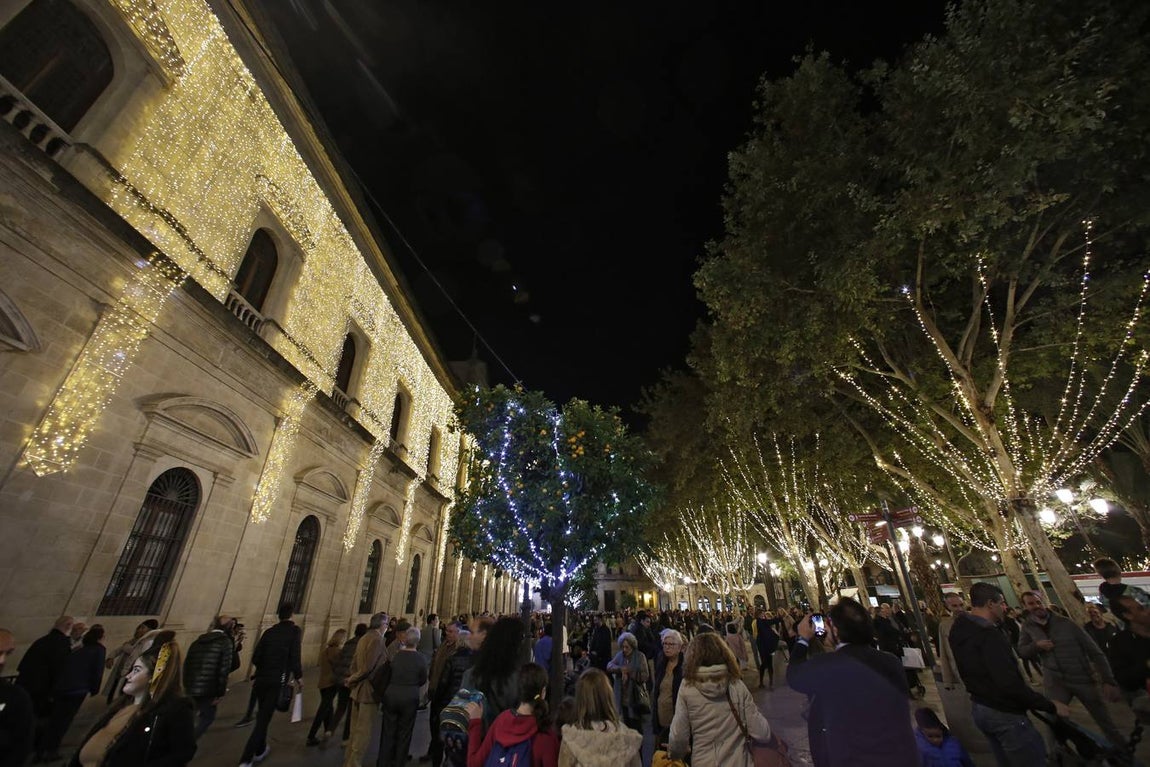 Fotogalería: Sevilla luce ya su alumbrado navideño