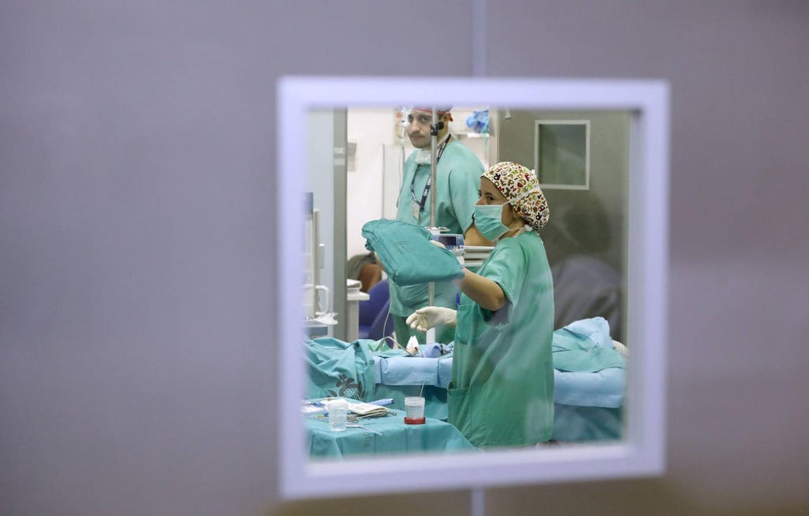 La labor de los expertos del Reina Sofía en cálculo renal en niños, en imágenes