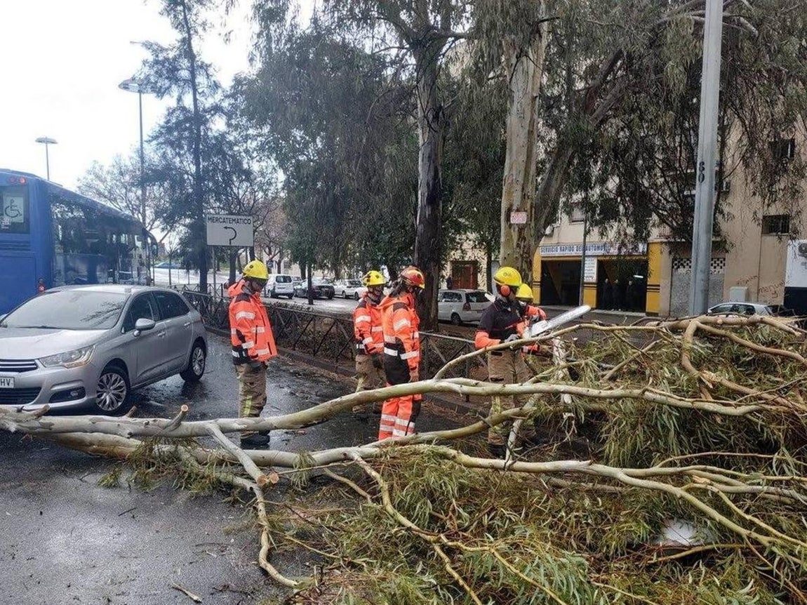 Los efectos de la borrasca Daniel en Sevilla, en imágenes