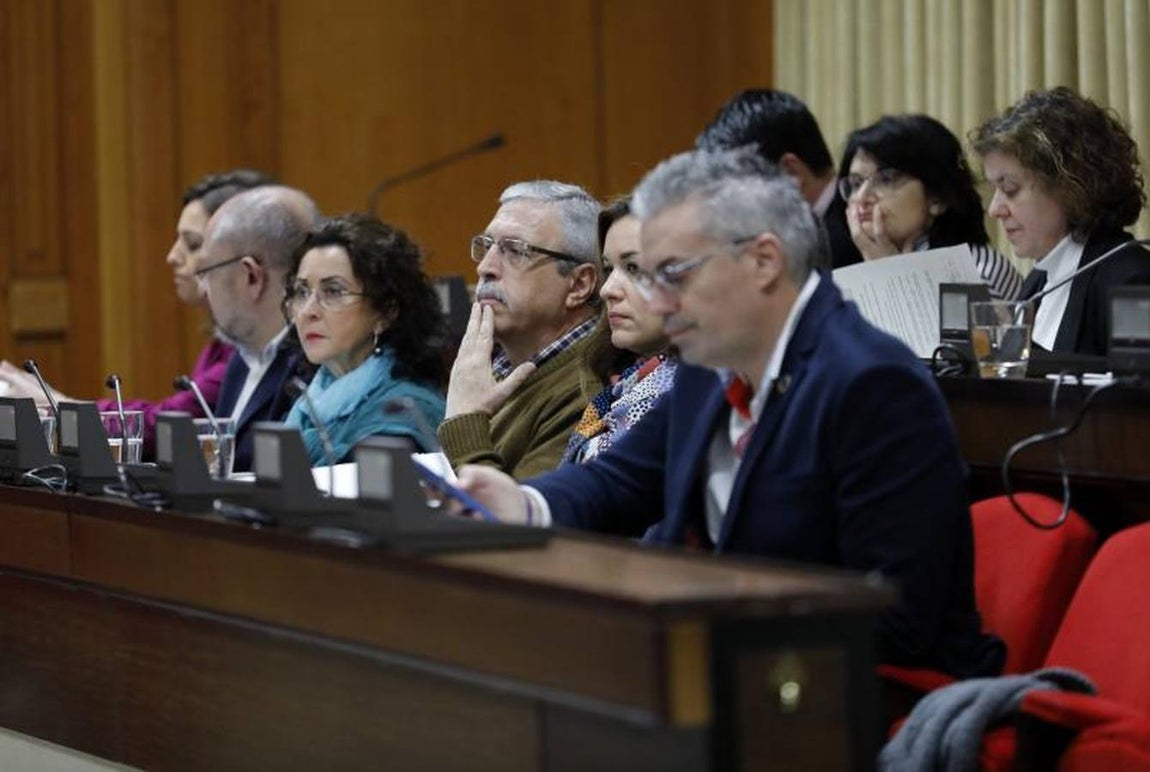 El último Pleno del año en el Ayuntamiento de Córdoba, en imágenes