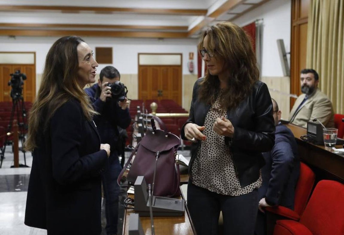 El último Pleno del año en el Ayuntamiento de Córdoba, en imágenes