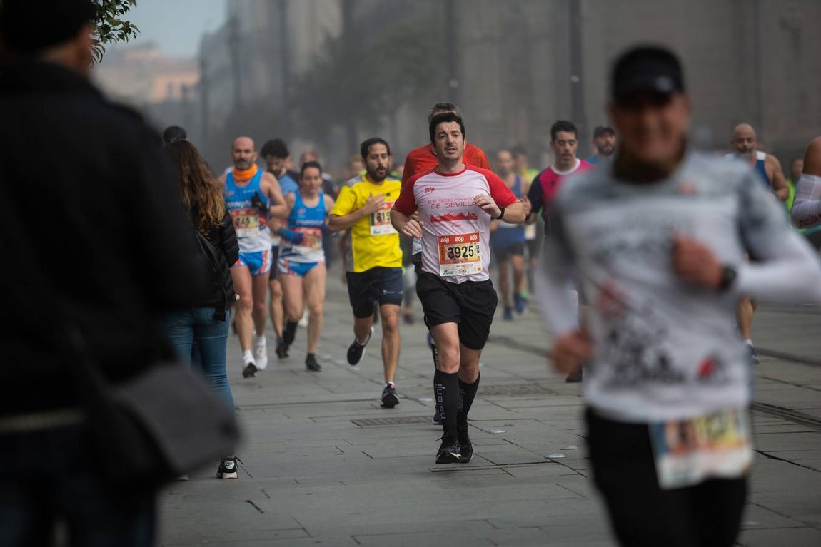 ¿Has corrido la Media Maratón de Sevilla? ¡Búscate aquí! (IV)