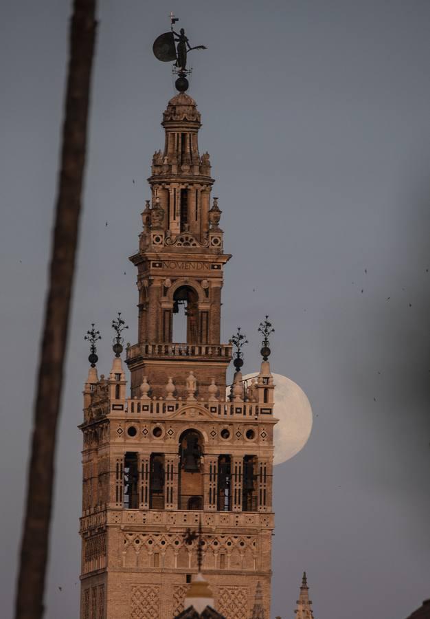 La luna tiñe de rosa las noches de Sevilla