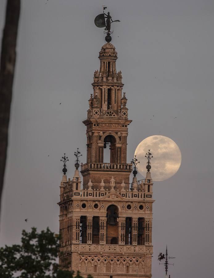 La luna tiñe de rosa las noches de Sevilla