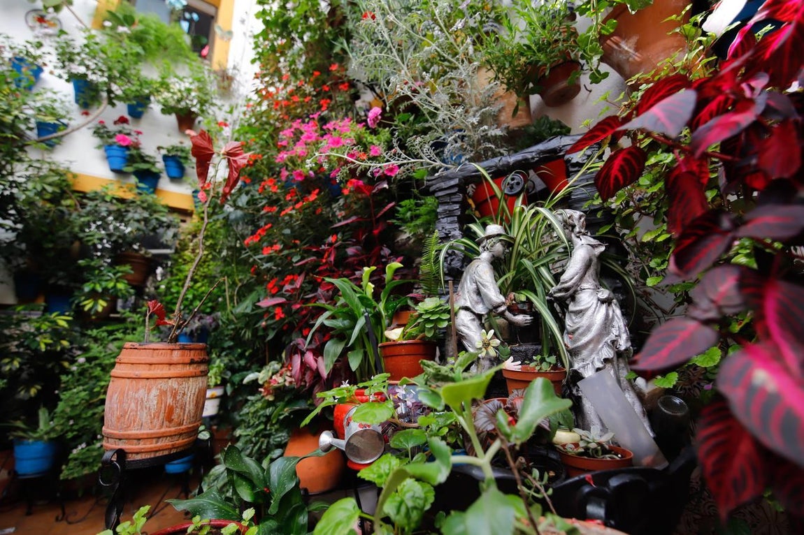 Los patios de Tafures, Ocaña y el Pozanco de Córdoba, en imágenes