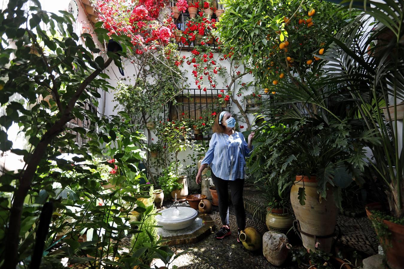 Patios de la Axerquía, la utopía de la azucena y el rosal sombrío en la era distópica