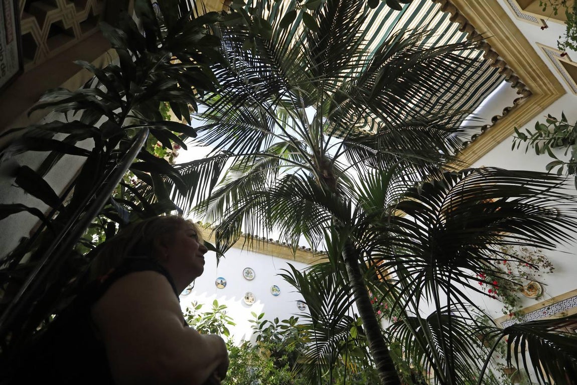 Los patios de Córdoba 2020 en la Judería y San Francisco, en imágenes