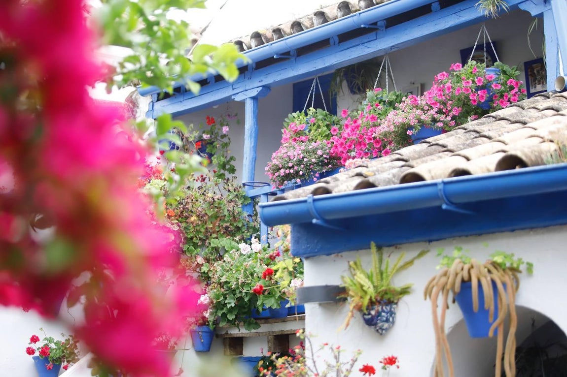 Los patios de San Juan de Palomares de 2020, en imágenes