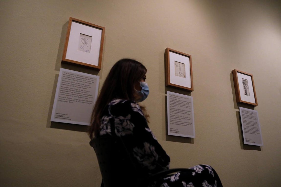 La exposición «Greguerías ilustradas», de ABC en Córdoba, en imágenes