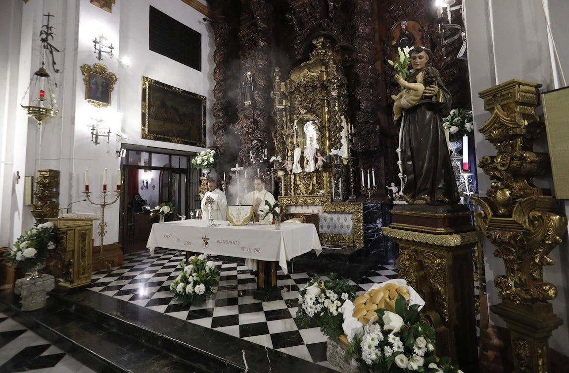 El reparto de pan de San Antonio en las Capuchinas de Córdoba, en imágenes