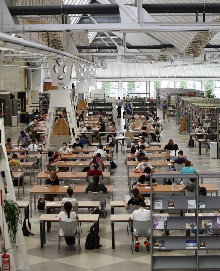 ¿Has hecho la Selectividad 2020 en la Universidad Pablo de Olavide de Sevilla? Búscate aquí