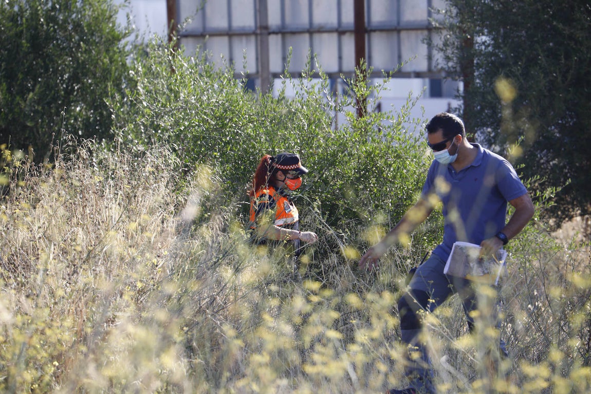 La búsqueda del hombre de 85 años desaparecido en Córdoba, en imágenes