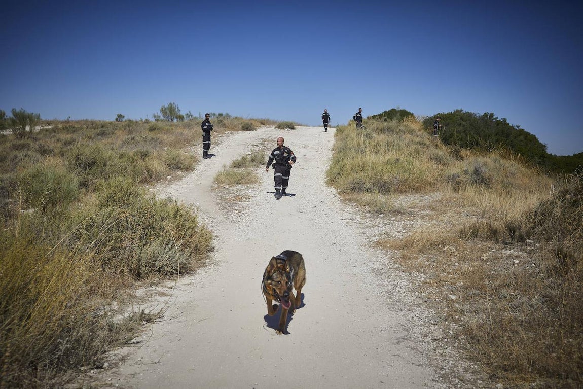 La búsqueda de la joven cordobesa Maite Cantarero, en imágenes
