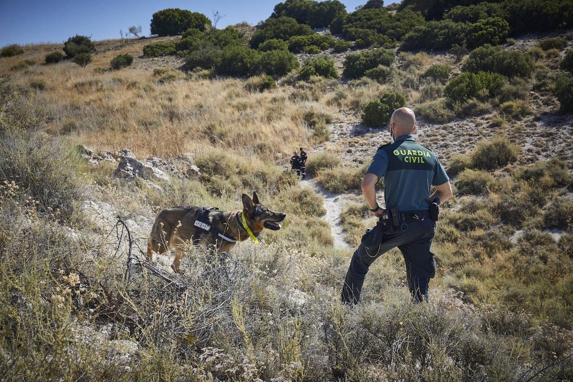 La búsqueda de la joven cordobesa Maite Cantarero, en imágenes
