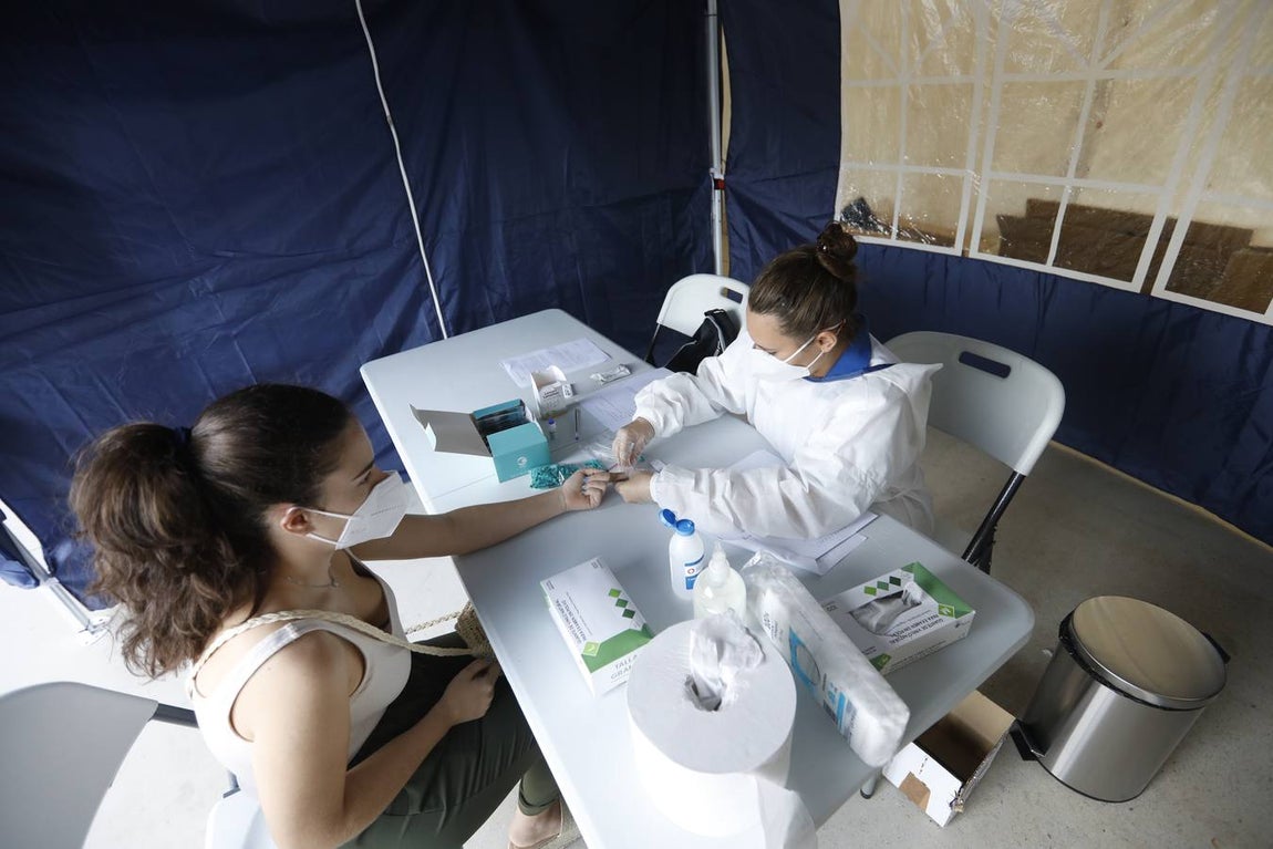 En imágenes, los test en la Escuela de Magisterio «Sagrado Corazón» de Córdoba