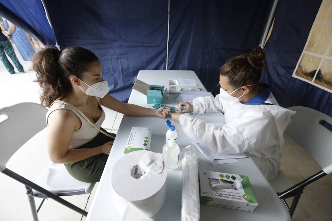 En imágenes, los test en la Escuela de Magisterio «Sagrado Corazón» de Córdoba
