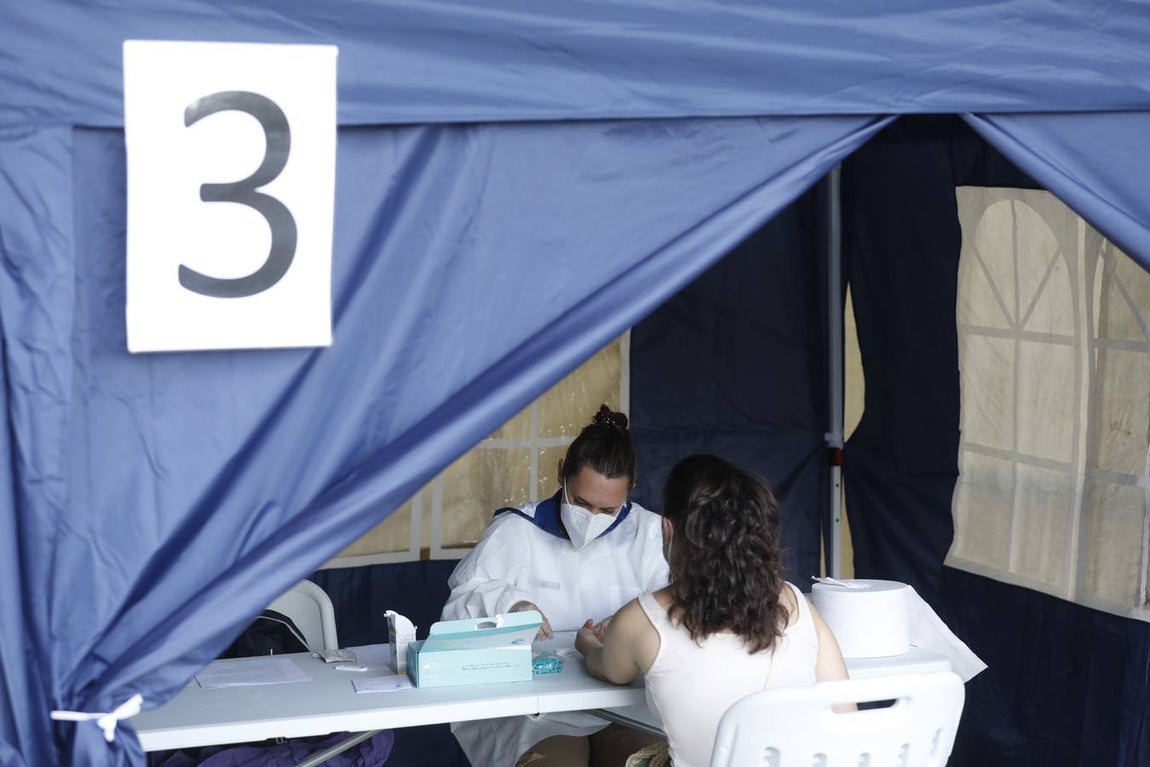 En imágenes, los test en la Escuela de Magisterio «Sagrado Corazón» de Córdoba