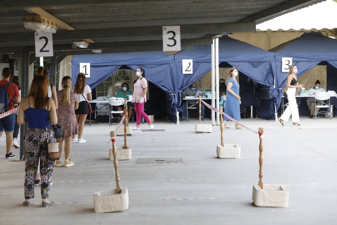 En imágenes, los test en la Escuela de Magisterio «Sagrado Corazón» de Córdoba