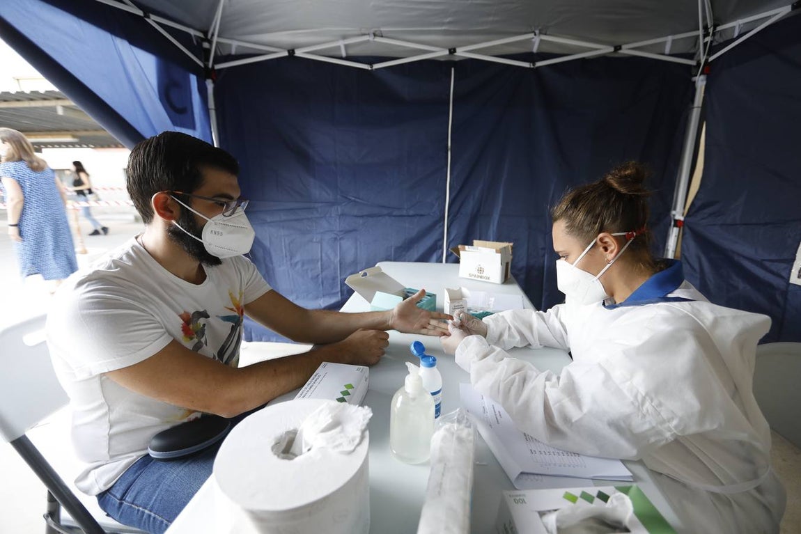 En imágenes, los test en la Escuela de Magisterio «Sagrado Corazón» de Córdoba