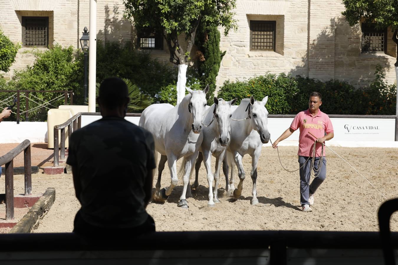 Cabalcor arranca hoy con el objetivo de contribuir «a recuperar el pulso» económico de Córdoba