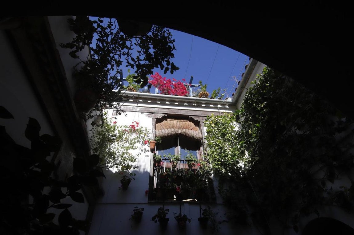 Patios de Córdoba 2020 | La ruta del barrio de San Basilio, en imágenes