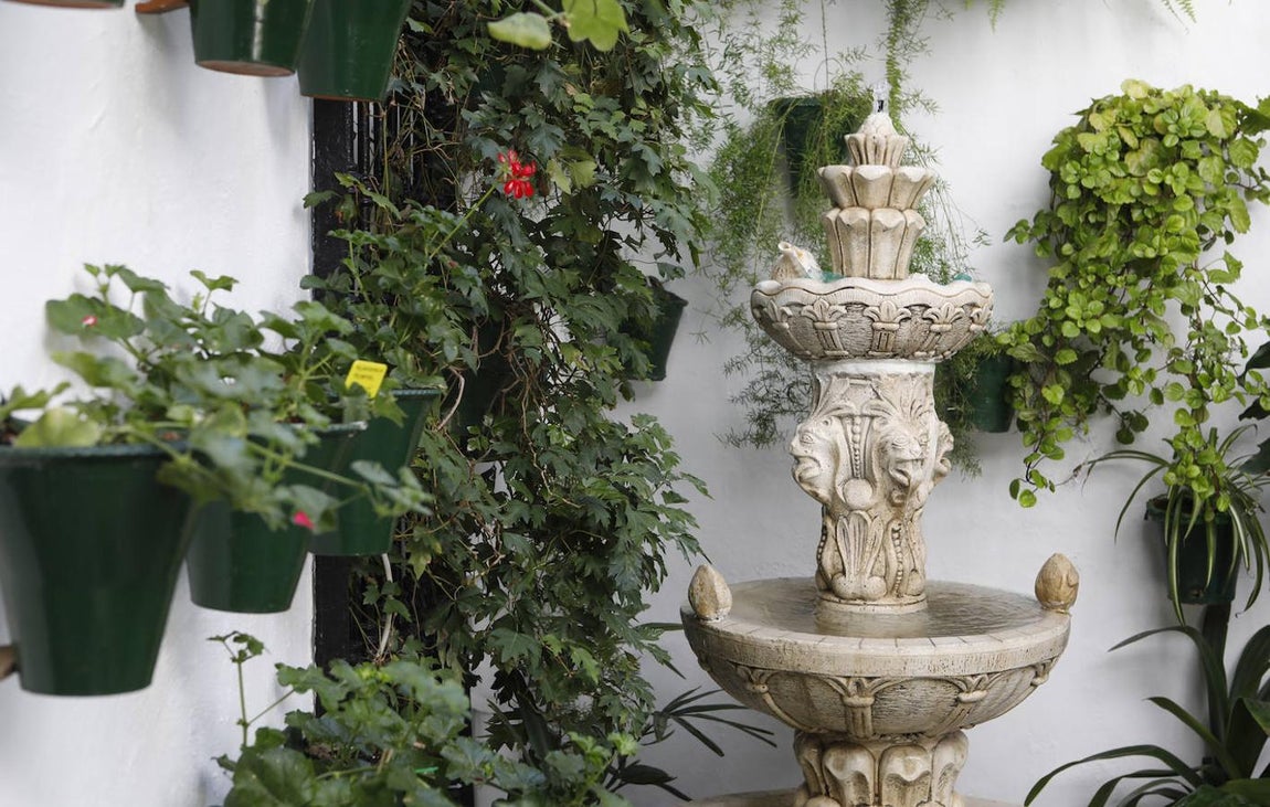 Los Patios de la Judería y San Francisco de Córdoba, en imágenes