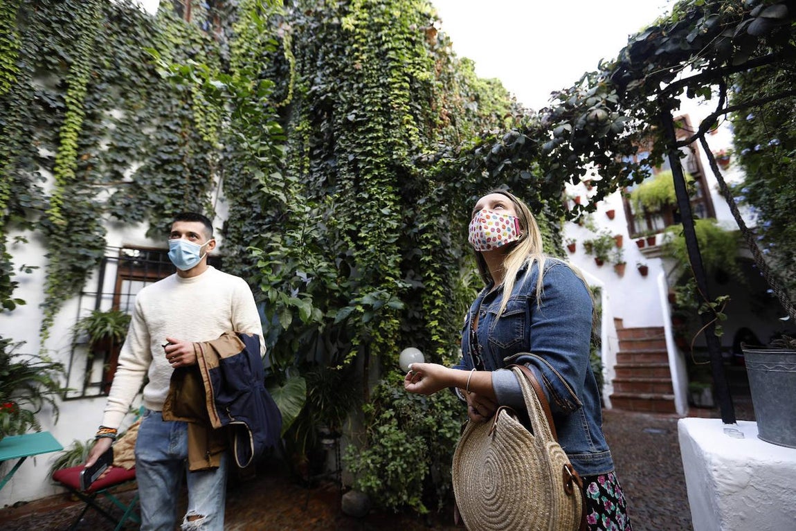 Los Patios de la Judería y San Francisco de Córdoba, en imágenes